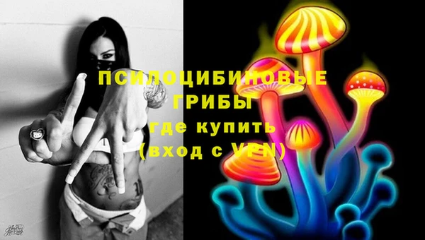 тгк Алзамай