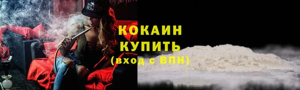 тгк Алзамай