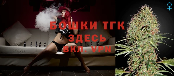 тгк Алзамай