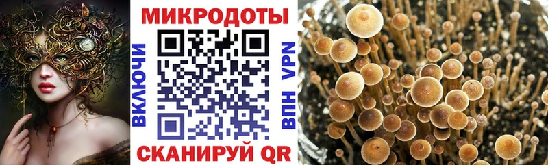 Галлюциногенные грибы GOLDEN TEACHER Дзержинск